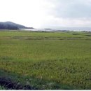 영랑세탁소 이미지