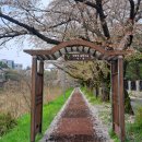 탄동천-2 이미지