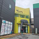 장수약품 | 곤충표본부터 해외 곤충 테마전까지 여주 곤충박물관 솔직 후기