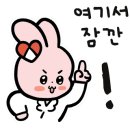 디씨즈네일