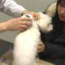 내장축산 이미지