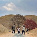 전동 31-3 공영주차장 | 경주 대릉원 시간 주차장 포토존 겨울여행 산책 아이와 가볼만한곳