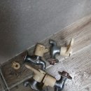 신서세탁 이미지