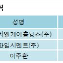 에이치엘홀딩스(주) 전자신문
