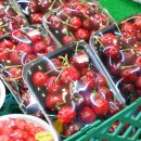 달구나청과 이미지