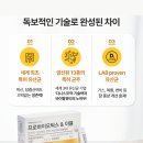 바이탈포뮬라
