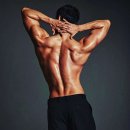 파인드 미 짐 이미지