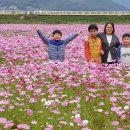 즐거운 산책(강진만 갈대축제 다녀왔어요) 이미지