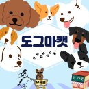 도그마캣용인 | [애견용품 맛집] 역북동 24시 무인 애완용품 (feat.도그마캣 용인 역북점)