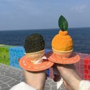 휴즐리 | 제주 공항 근처 젤라또 맛집 휴즐리 한라봉 아이스크림 솔직후기