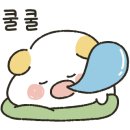 한빛태권도 이미지