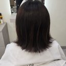 봄내초등학교 | [춘천미용실]단발병 다시 온 이유 춘천 미용실 레이어드컷 후기 - 제이엔제이 세라점