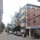 금화장 이미지