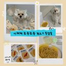 강아지 화식 간식 추천 | 기호성 좋은 아페체 쪼물쪼물 닭고기 밀캡슐 후기