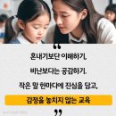 호계단태권도장 이미지