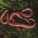 남성주유소 이미지