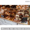 쩜빵 티스토리