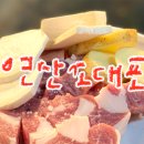 연산조대포