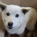 둔포면 아산밸리서로 이미지