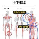 망원역 pt 바디컨설팅 망원 피티 체형교정 후기 비포애프터 운영시간 수업 방식