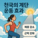 운동이끌림