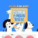 해온동물의료센터 이미지