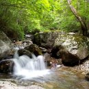 덕유산(대전) 이미지