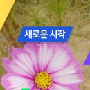 연세글로벌행정사사무소 네이버블로그