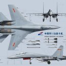 중국의 J-11B 전투기, WS-10 엔진만의 문제가 아니다 이미지
