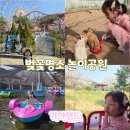 안성맞춤랜드공원17 | 국내 벚꽃명소 놀이공원 아이와 김해 가야랜드 후기