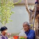 센세이션 이미지