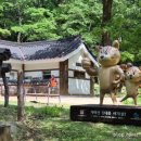 해인사관광안내소 네이버블로그