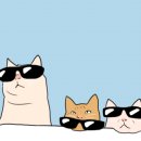 복덕방청년공인중개사사무소 이미지