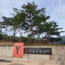태백로컬푸드샵 | 영월관광센터 민화 미디어아트 관람 후기