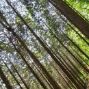 내장산국립공원화장실(사무소) 이미지