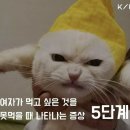 공감 - 보령시 돈바탕길 15 | 공감