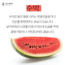 여우공간필라테스 네이버블로그