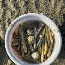 처음처럼 펜션 이미지