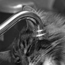 2019-주080 이미지