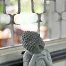 권태농장 | 식상하지 않은 달랏 꿀팁이 궁금하다면? (숙소 mo stay, truly home, 관광 blue mountain farm, 맛집...