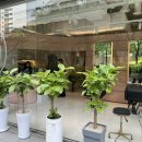 지앤헤어 - 강남구 언주로 201 | 지앤헤어