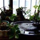 명품서예 이미지