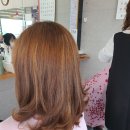 보보헤어아카데미학원 이미지