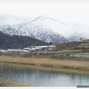 로그캐빈다래 이미지