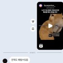 조은월식당 | 태연이 밥멕여주냐? 아뇨 대만여행 시켜줍니다