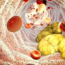 온체헬스스토어 이미지