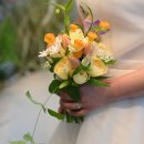 시크릿가든 | 대전 야외 결혼식 스몰웨딩 시크릿가든웨딩 후기