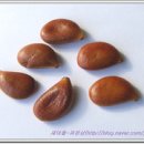 하비동물병원 이미지