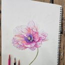 꽃그림 보타니컬 색연필화 | (운정일산파주)일산동구 서구 라페스타 성인취미미술...가자 유화 수채화 색연필화 보테니컬아트 수업등...
