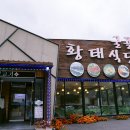 로카와 델피노1 이미지